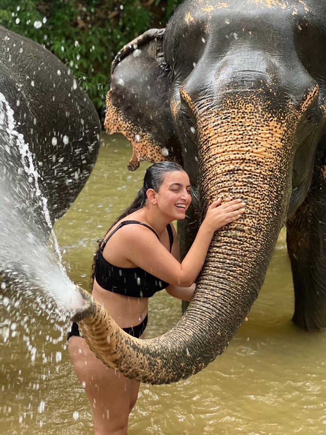 Elephant Bathing
